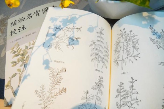 《植物名實圖考校注》內(nèi)頁。圖片來源：中華書局供圖
