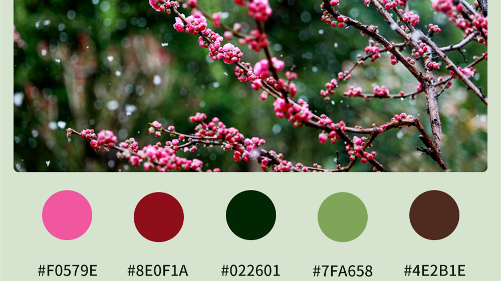 微海報(bào)|收藏！色卡里的春日甘肅