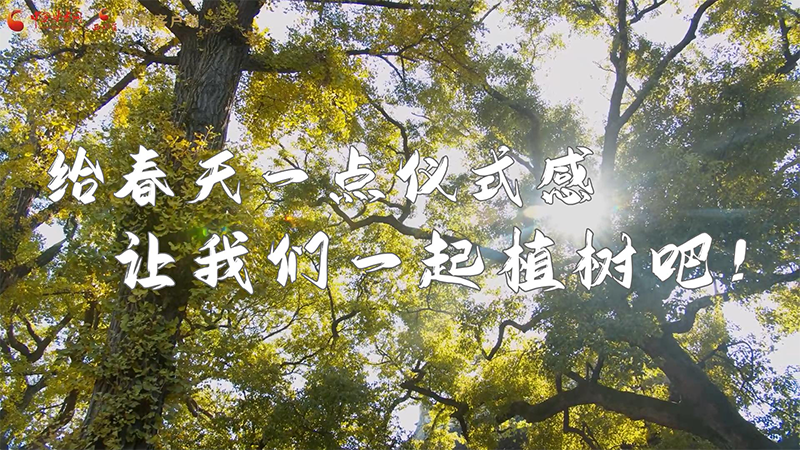 短視頻|給春天一點儀式感，讓我們一起植樹吧！