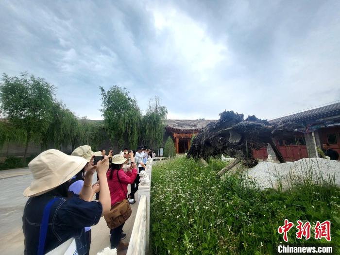 圖為媒體記者在青海永錄民俗參觀采訪?！⊙Φ?攝