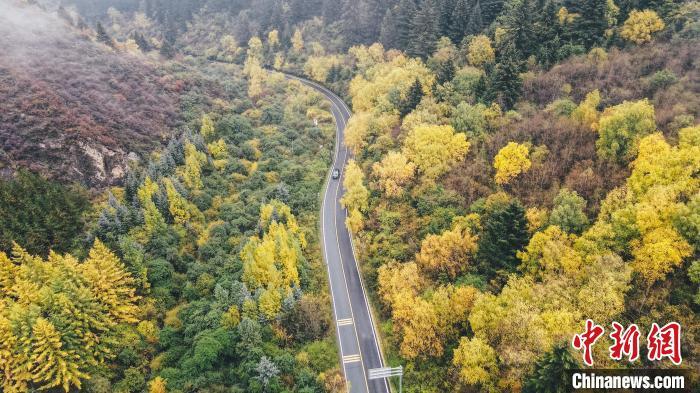 深秋，航拍位于蘭州市榆中縣的興隆山，景色如畫。金峯 攝</p>
<p>