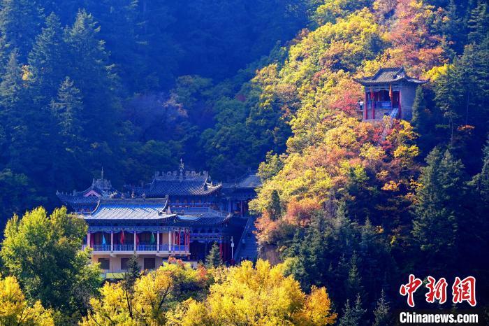 深秋，位于蘭州市榆中縣的興隆山景色如畫。宮衛(wèi)紅 攝