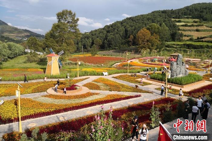 圖為航拍甘肅甘南臨潭縣八角鎮(zhèn)，花海吸引游人。(資料圖)高展 攝