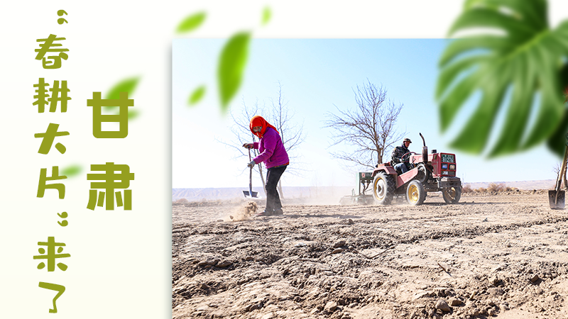【甘快看】海報(bào)|瞧！甘肅“春耕大片”來了