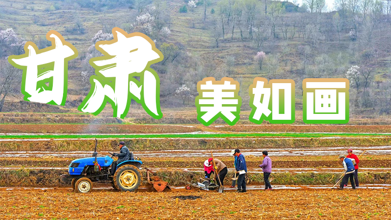 微海報(bào)|甘肅，美如畫(huà)