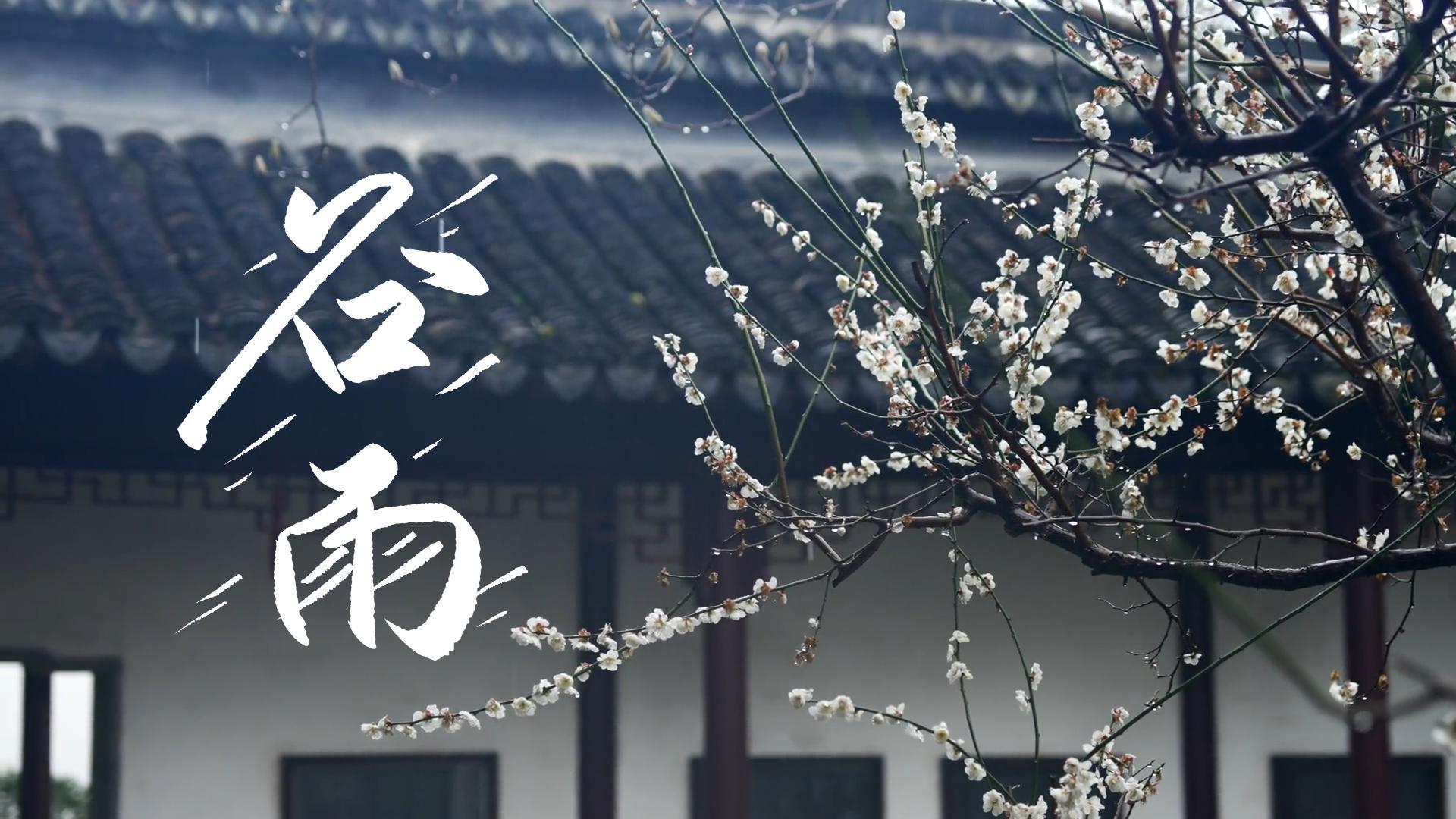 【節(jié)氣里的大美甘肅】谷雨，春天的最后一次回眸