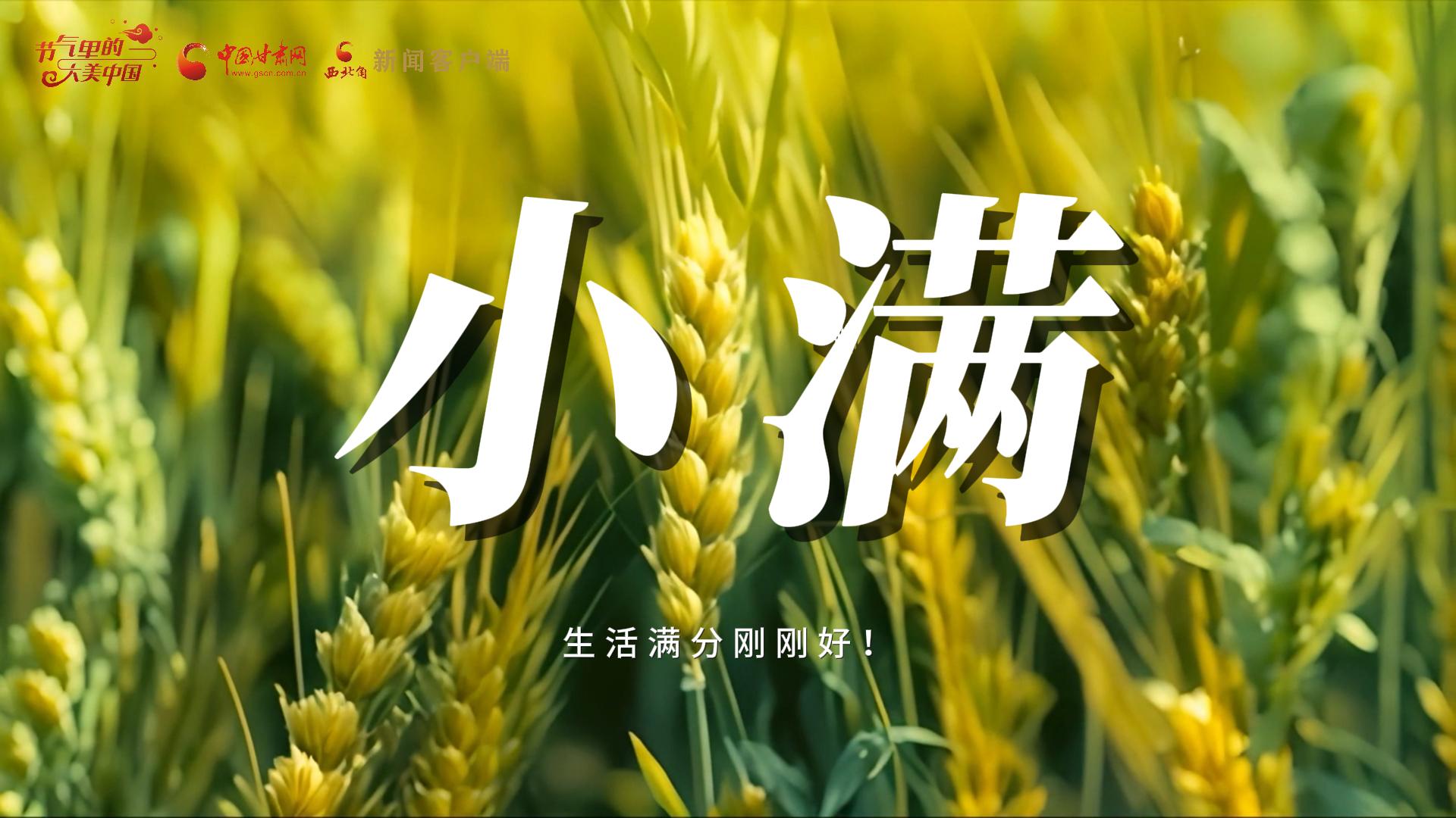 【節(jié)氣里的大美甘肅·小滿】生活滿分剛剛好！