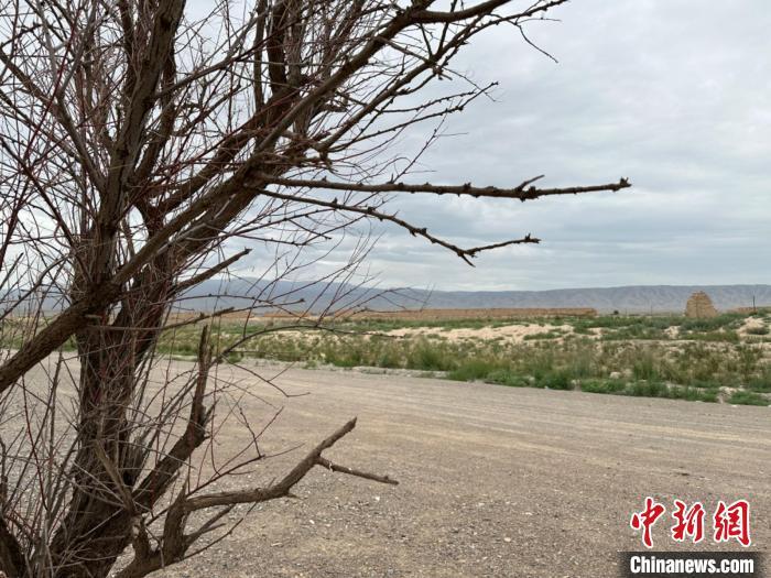 圖為位于長城墻體上的“馬面”或“敵臺”?！〈魑牟?攝