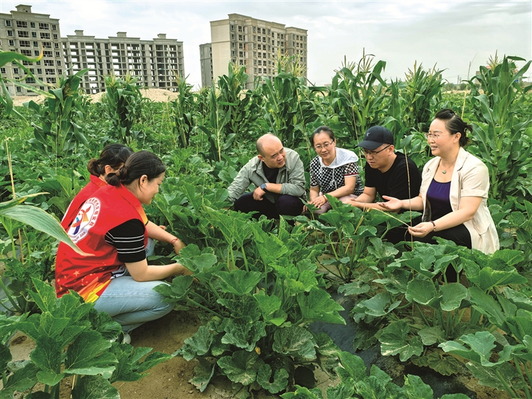 1724021673911468.jpg W020240818235988380097.jpg