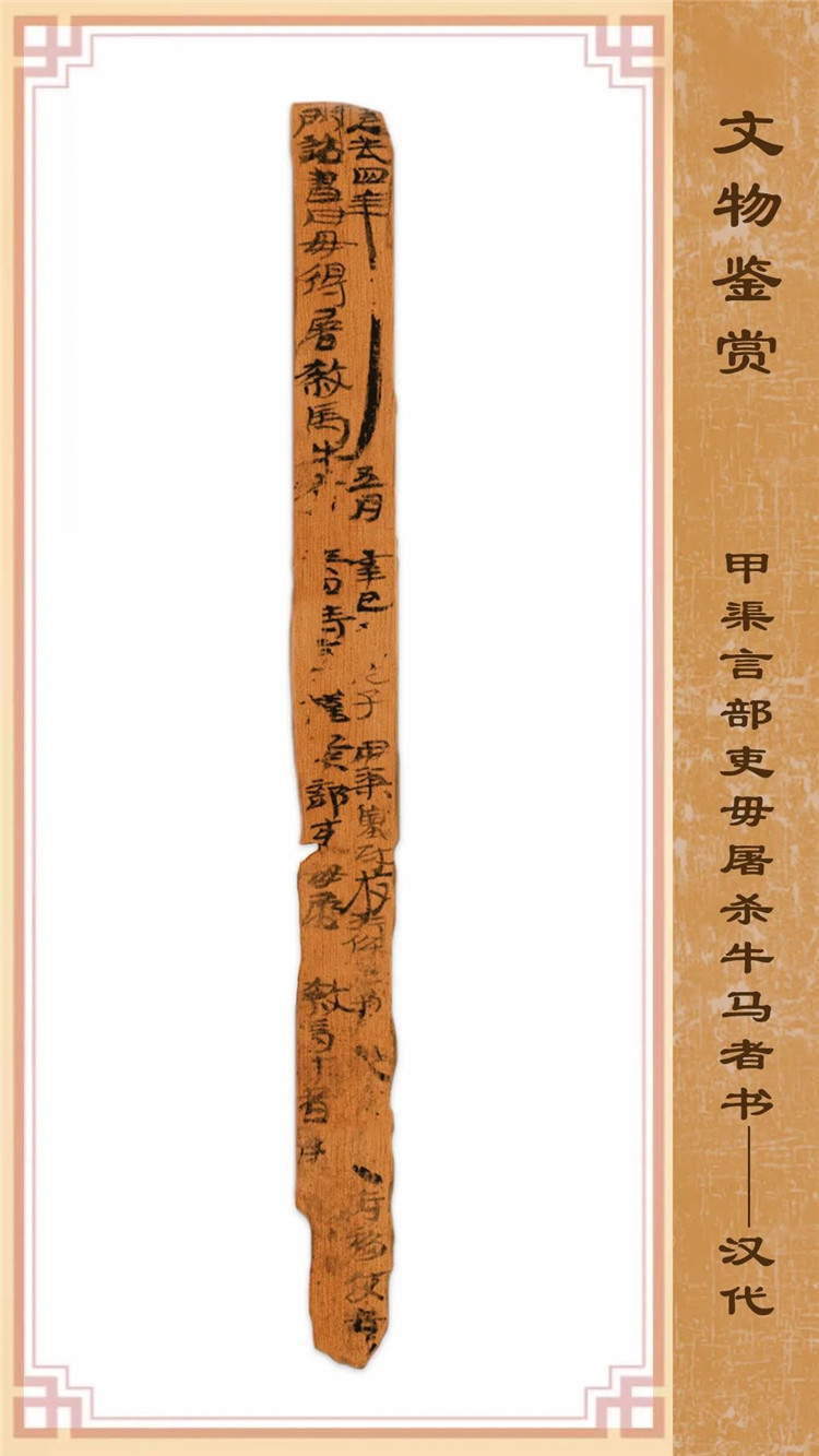 1725234989966808.jpg 36c2b8f881e9e79de5fd25946288fdd.jpg