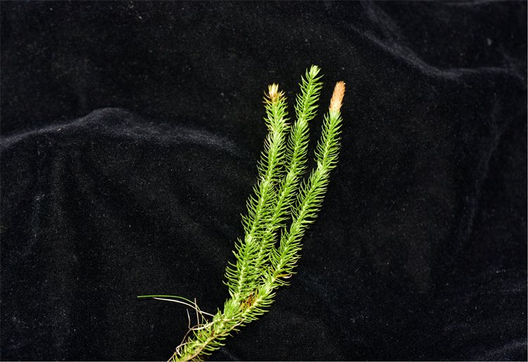 1725528995197501.png 6-2.png