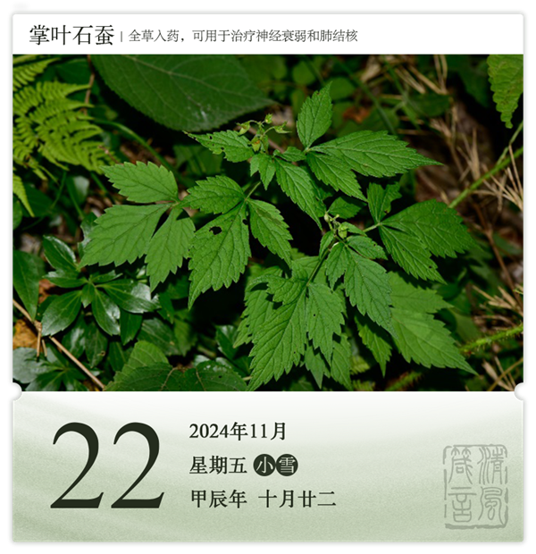 1730189567101259.png 箴歷日歷11-22.png