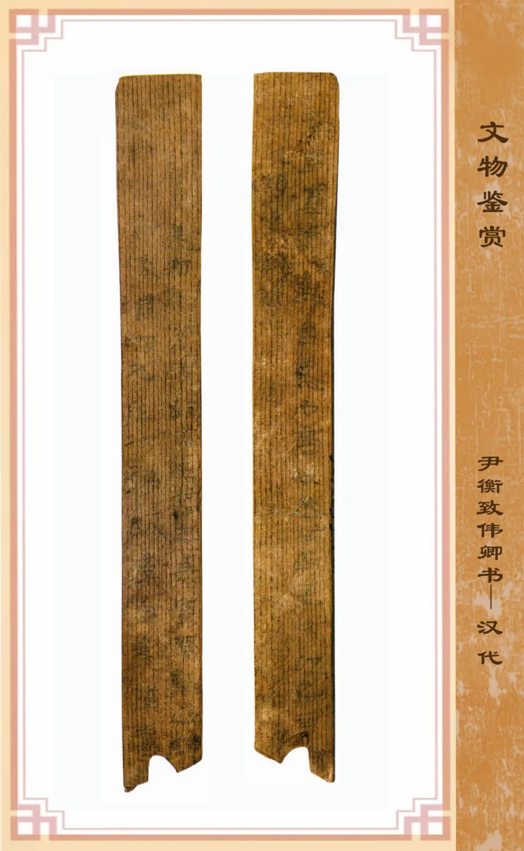 1736726589318080.jpg 1736726589318080.jpg