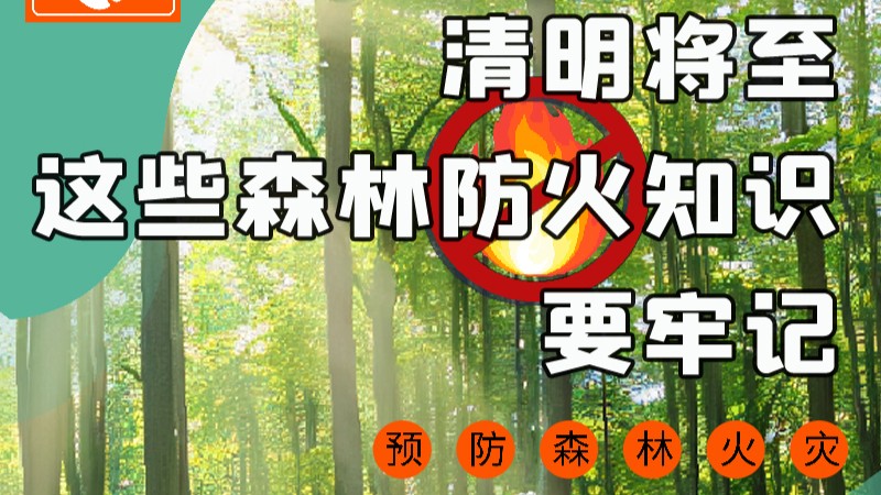 【甘快看】圖解|緊繃“安全弦”！清明，這些森林防火知識要牢記