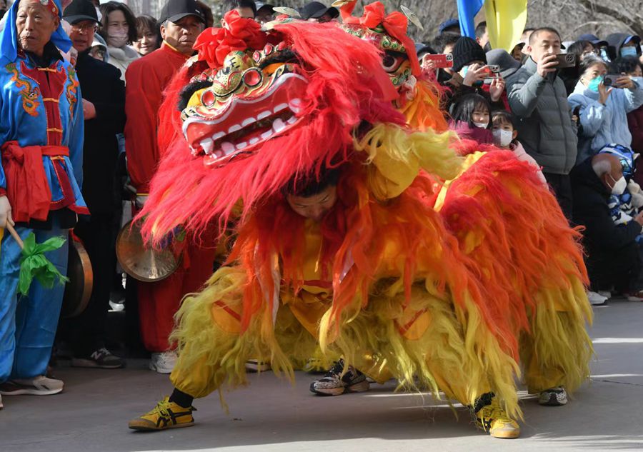 蘭州北獅表演現(xiàn)場。受訪者供圖