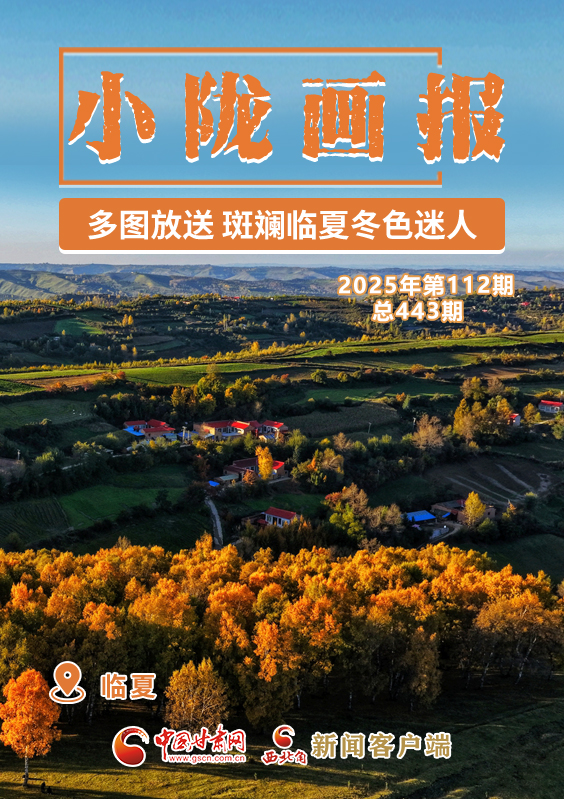 【小隴畫報(bào)·443期】多圖放送 斑斕臨夏冬色迷人