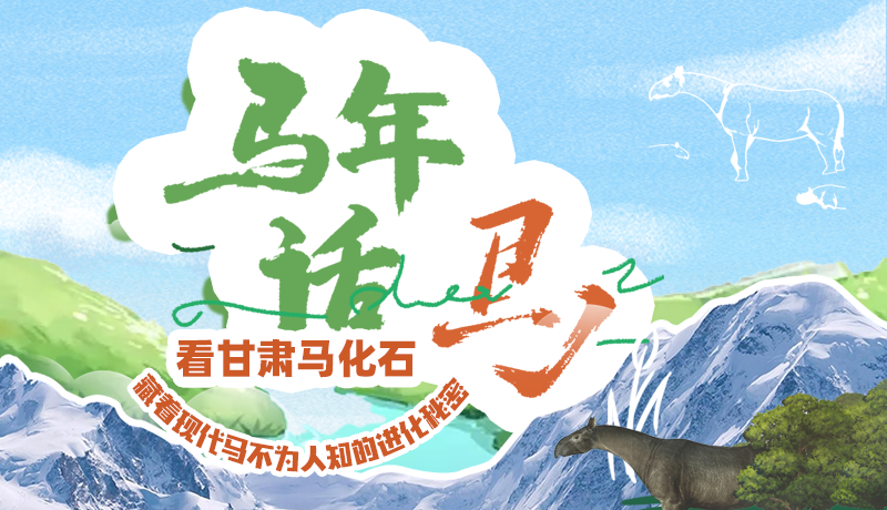 看甘肅馬化石 藏著現(xiàn)代馬不為人知的進化秘密