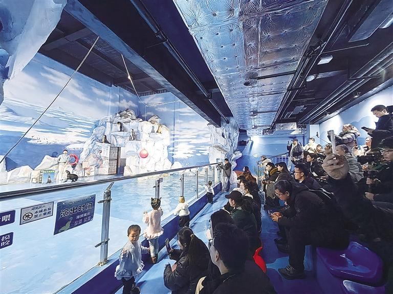 甘肅：返程路暢暖意濃