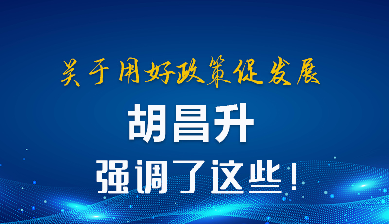 圖解|關(guān)于用好政策促發(fā)展 胡昌升強(qiáng)調(diào)了這些！