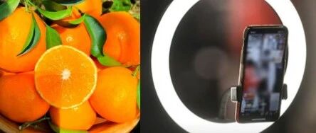 聲稱(chēng)“橙子提高免疫力”、“悲情助農(nóng)”等類(lèi)案頻發(fā)，敲響各單位直播帶貨警鐘