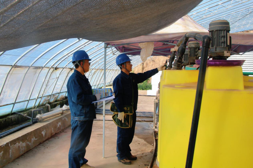 國(guó)網(wǎng)甘肅電力：春雷驚蟄萬(wàn)物生 電力護(hù)航農(nóng)耕忙